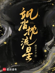 飒沓枕流星