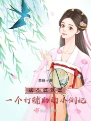我不过就是一个打辅助的小侧妃