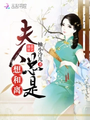 夫人总是想和离
