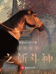 金职高手之站天斗地