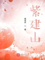 我的刺客朋友