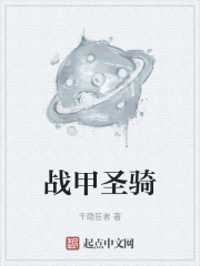 战甲圣骑