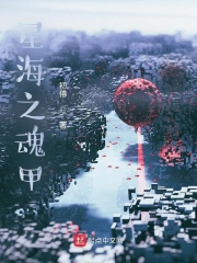 星海之魂甲