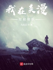 我在美漫拉起组织