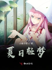 夏日轻梦