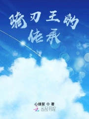 骑刃王的传承