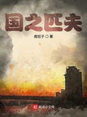 国之匹夫