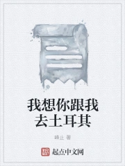 我想你跟我去土耳其