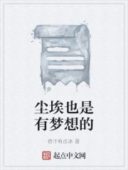 尘埃也是有梦想的
