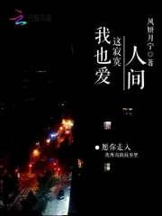 我也爱这寂寞人间