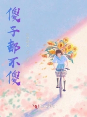 茹梦随记