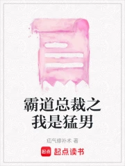 霸道总裁之我是猛男