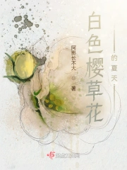 白色樱草花的夏天