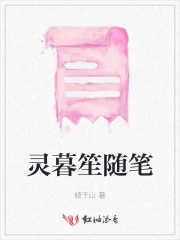 灵暮笙随笔