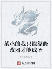 菜鸡的我只能靠修改器才能成圣