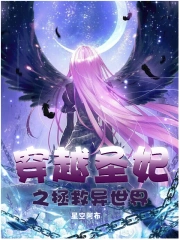 穿越圣妃之拯救异世界
