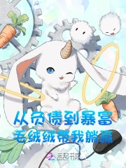 从负债到暴富，毛绒绒带我躺赢