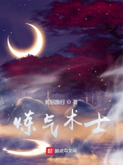 炼气术士