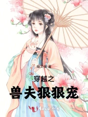 穿越之兽夫狠狠宠