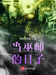 当巫师的日子