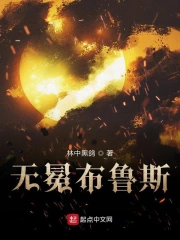 无冕布鲁斯
