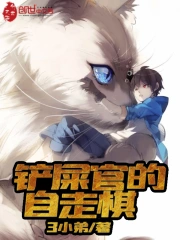 铲屎官的自走棋