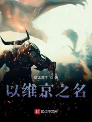 以维京之名