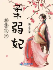 痴情王爷柔弱妃