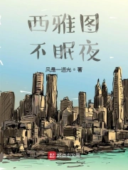西雅图不眠夜