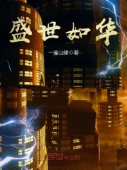 盛世如华