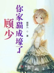 顾少你家猫成壕了