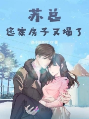 苏总，您家房子又塌了