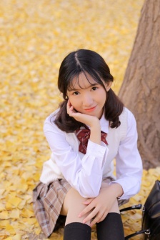 white的书