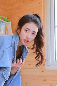 西域飞鹰