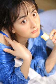 点阑珊