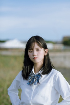 乱世鸣凤