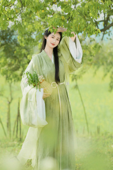 我师父真不是天下第一